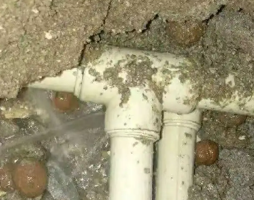 来凤测漏水多少钱