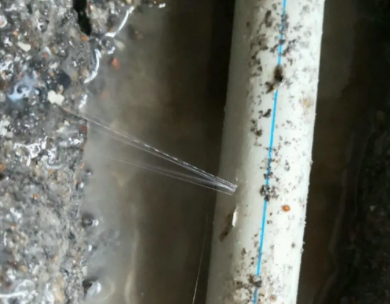 来凤测漏水哪家好